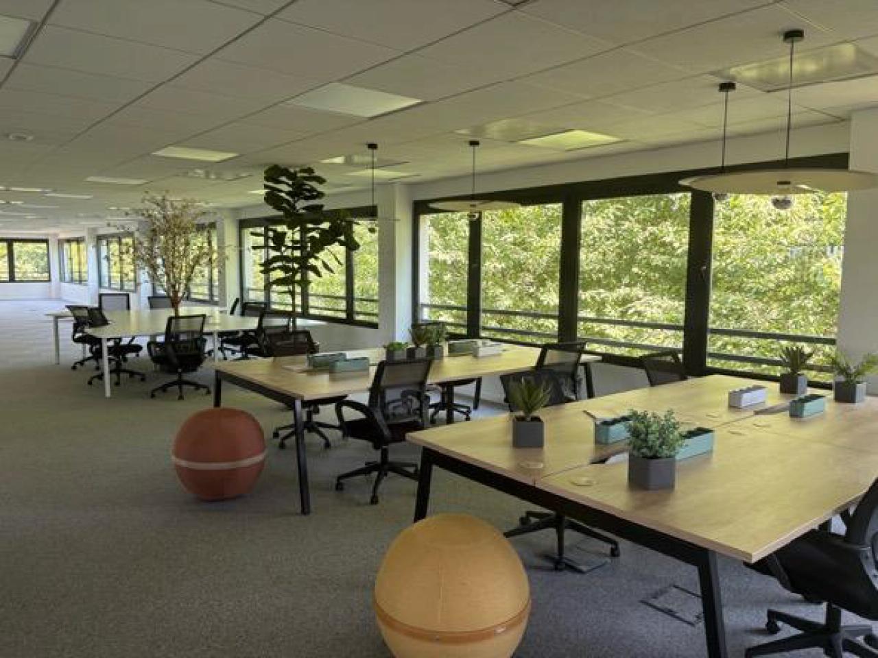 Bureau Saint-Priest 4834m² Location bureau Saint-Priest Rhône OLBUR2108812 7